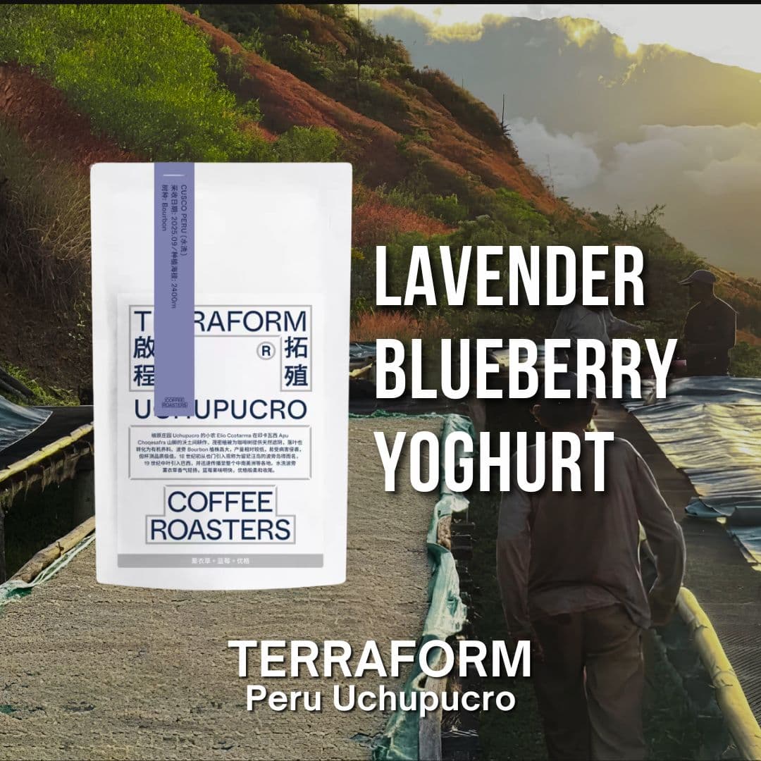 Terraform Peru Uchupucro Bourbon (100g)